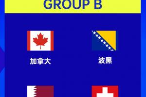 意大利出局！世界杯B组确定：波黑、加拿大、卡塔尔、瑞士