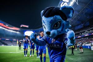 今晚报：申花和津门虎“残阵”对决，考验双方主教练的调整能力