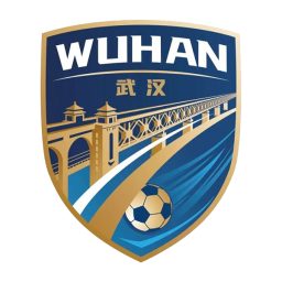  武汉队