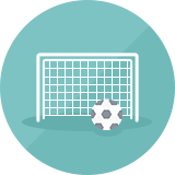  弗吉尼亚掠夺者